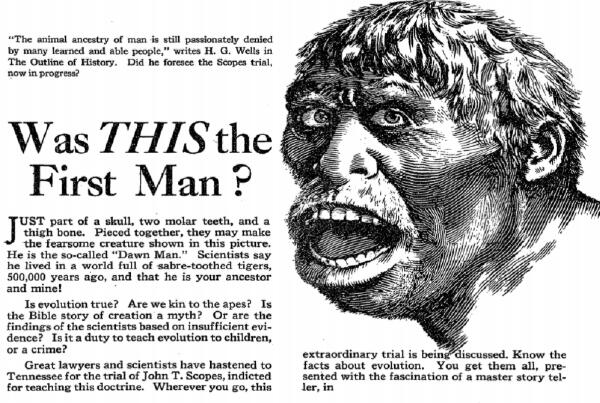 威尔斯《历史纲要》新版图书销售信